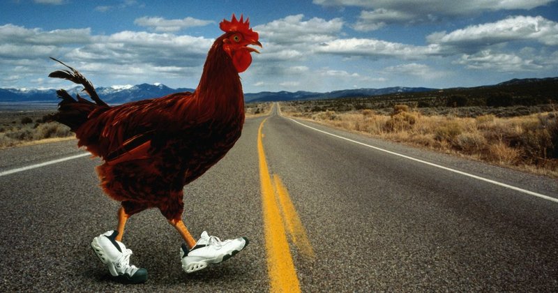 Descubre el Mágico Mundo del Juego de Chicken Road en España in Spain