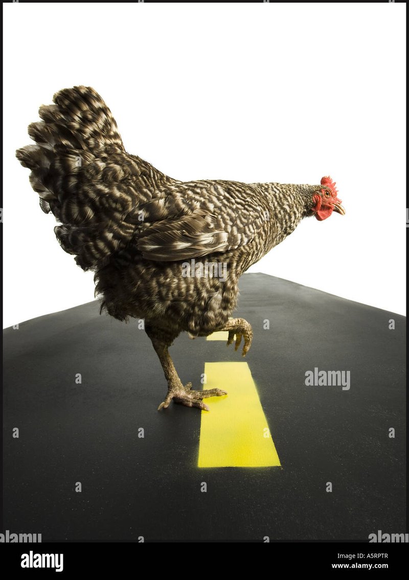 Best chicken road online in Spain